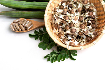 moringa oleifera with leaves  isolated on white background