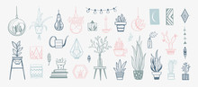 Cozy Interior Decor Vector Elements . Hand Drawn House Plants And Decorations For Home