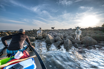 Paddling around Whiterock and Ballydorn