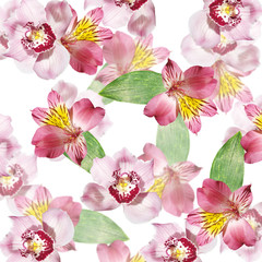 Fotomurales - Beautiful floral background of alstroemeria and orchids. Isolated 