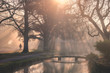 Cotswolds Lower Slaughter on a misty calm morning with sun shining through trees onto River Windrush