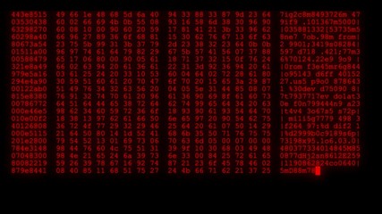 Wall Mural - encrypted programming security hacking code data flow stream on display new quality numbers letters 