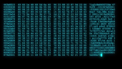 Wall Mural - encrypted programming security hacking code data flow stream on display new quality numbers letters 