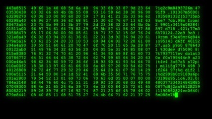 Wall Mural - encrypted programming security hacking code data flow stream on display new quality numbers letters 