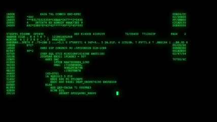 Wall Mural - encrypted programming security hacking code data flow stream on display new quality numbers letters 