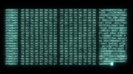 Wall Mural - encrypted programming security hacking code data flow stream on display new quality numbers letters 
