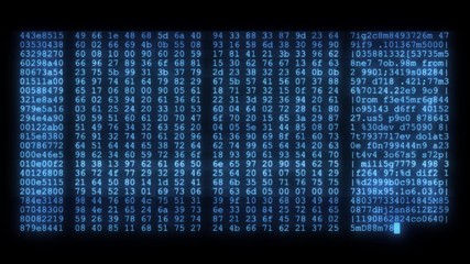 Wall Mural - encrypted programming security hacking code data flow stream on display new quality numbers letters 