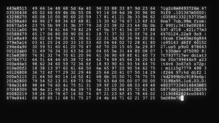 Wall Mural - encrypted programming security hacking code data flow stream on display new quality numbers letters 
