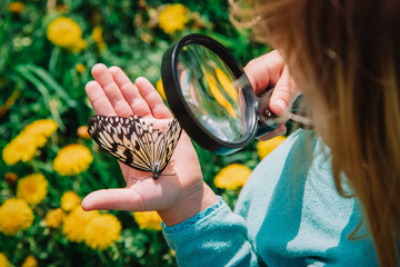 little girl looking at butterfy, kids learning nature