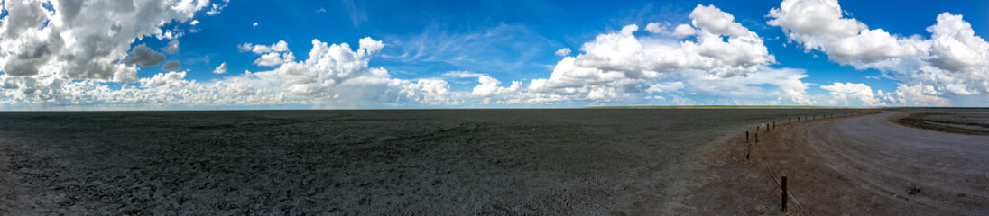 landscape picture of the large salt pan at the etosha nationalpark in northern namibia