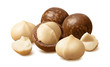 Group of macadamia nuts isolated on white background. Package design element with clipping path