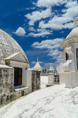 Wall Mural - Panoramic view of the roof of Leon Cathedral, Nicaragua