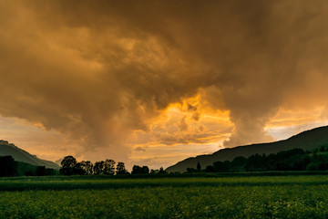 Wall Mural - thunderstorm updrafts are illuminated by the light of the setting sun