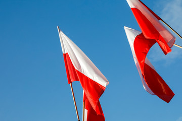 Wall Mural - There are flags of Poland against the blue sky