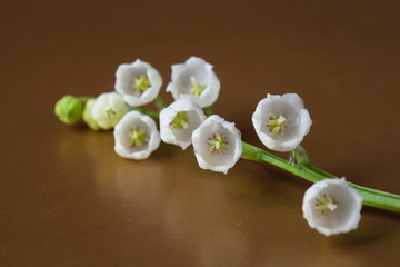 Wall Mural - A soft delicate macro closeup of white lily of the valley flower branch with green leaves isolated on Gold Background.