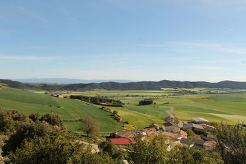 Canvas Print - campo