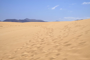 Wall Mural - Sand Dunes in National Park Corralejo, Fuerteventura.