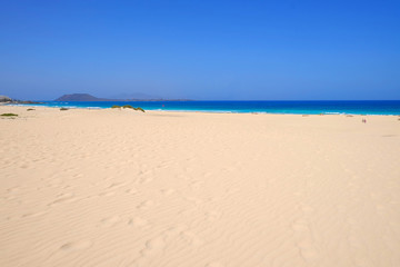 Wall Mural - Sand Dunes and beach in National Park Corralejo, Fuerteventura.