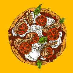 Delicious Italian pizza with slices of bacon, tomatoes, mozzarella and basil leaves. Color. Engraving style. Vector illustration.