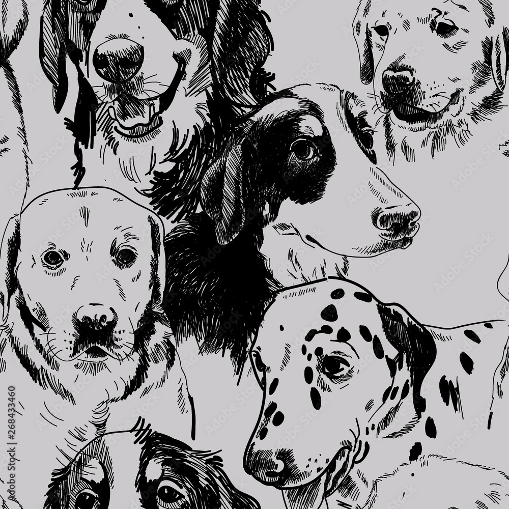 Seamless pattern with dogs. Dog breeds. Labrador Retriever, zinenhund ...