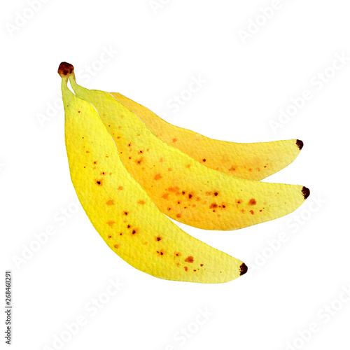 夏 トロピカルフルーツ バナナ 水彩 イラスト Adobe Stock でこの