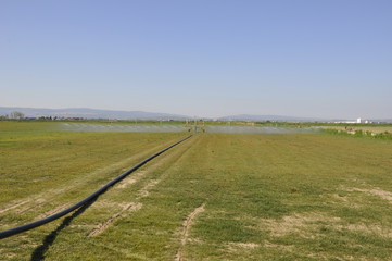 Field Irrigation