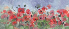 Red Poppies In The Rain Watercolor Background