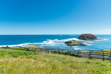 Wall Mural - Natural and animals in Phillip Island