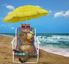 The Cat In Sunglasses Under A Yellow Umbrella Drinks Cocktail On A Beach Chair On The Sea Shore.