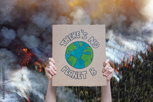 Climate change manifestation poster on a forest burning background: there is no planet b. Deforestation, fire and destruction concepts