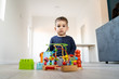 © Miljan Živković - Small boy playing with little brick block toys at home on the floor