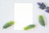 Fototapeta Do akwarium - Blank paper card for text on white background
