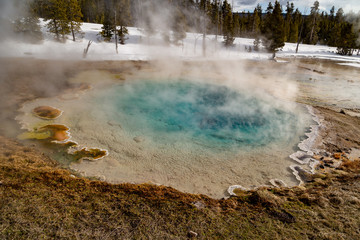 Celestine Pool