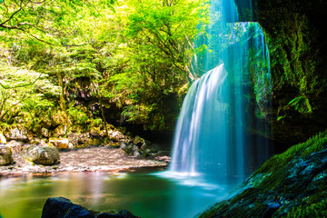 Wall Mural - Nabegatai, waterfall in forest, Kumamoto Japan