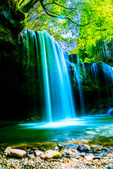 Wall Mural - Nabegatai, waterfall in forest, Kumamoto Japan