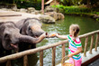 © famveldman - Kids feed elephant in zoo. Family at animal park.