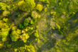 © dzmitrock87 - Green nature aerial view. Green plants background from above. Summer nature
