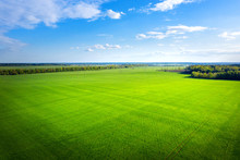 Green Meadow And Blue Sky From Above. Summer Field On Sunny Day Aerial View. Agriculture