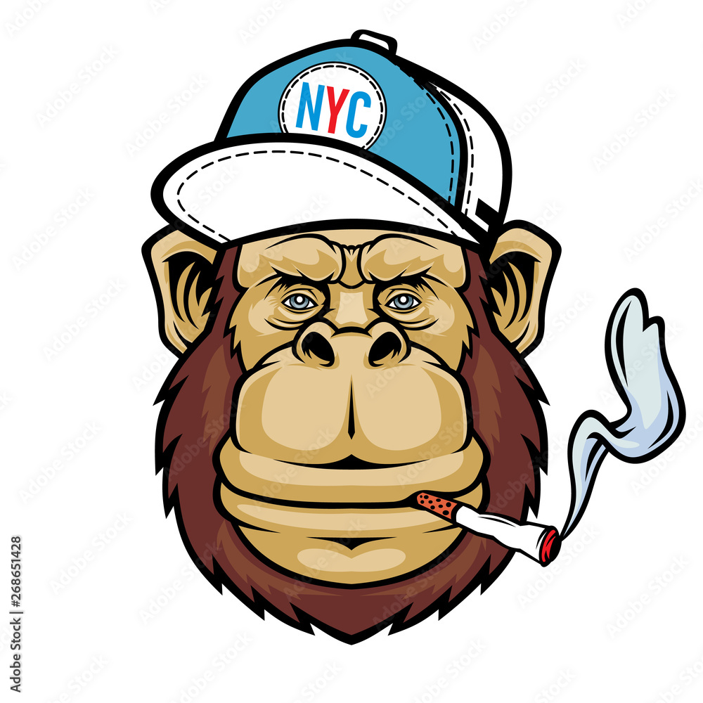 what are the 4000 chemicals in cigarettes Chemicals in Tobacco Products and Your Health