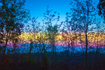 Wall Mural - Natural Sunrise Over Landscape, Colorful Twilight Sunset Sky And Tree Silhouette