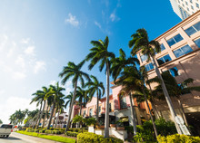 Palm Trees And Elegant Buildings In West Palm Beach