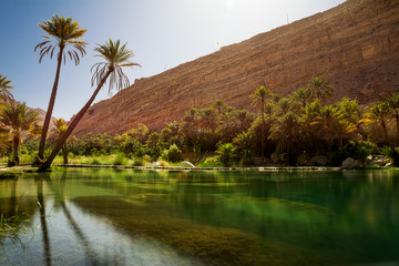 Amazing Lake and oasis with palm trees (Wadi Bani Khalid) in the Omani desert