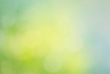 Fototapeta Nowy Jork - Abstract blur spring background. Green and blue bokeh