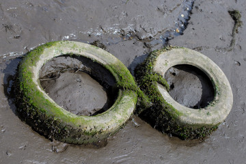 Wall Mural - Two tires at beach