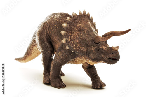Plakaty dinozaury  triceratops-jurajski-gad-dinozaurow-na-bialym-tle-renderowanie-3d