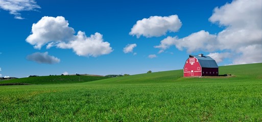 Red barn in a green field of winter when Eastern Washington