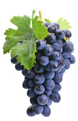 Wall Mural - Grapes on a white background