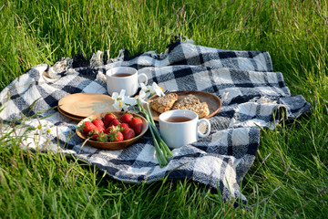 Picnic in the Park on the green grass with berry, cookies, tea. Picnic blanket. Summer holiday