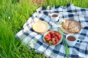 Picnic in the Park on the green grass with berry, cookies, tea. Picnic basket and blanket. Summer holiday