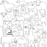 Fototapeta Pokój dzieciecy - line art doodle of UK breed domestic animals